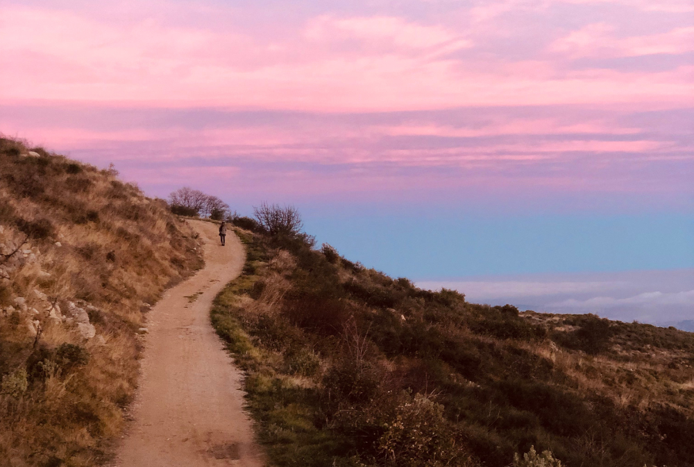 Path at Sunset